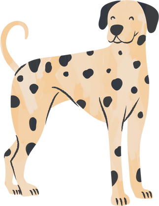 Cute Handdrawn Dalmatian